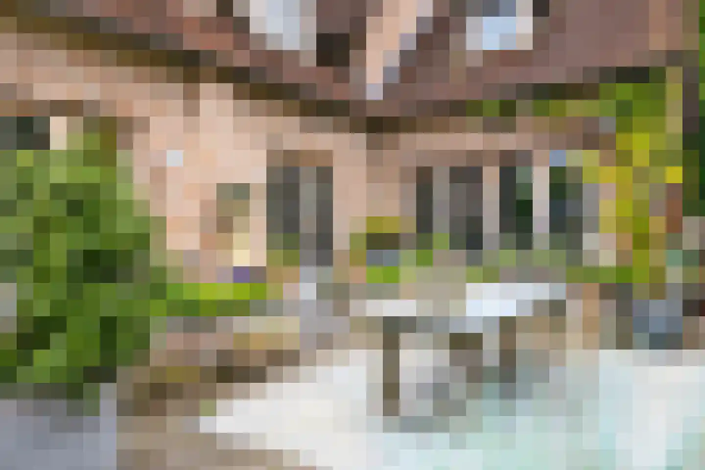 Hornweg 101 Aalsmeer thumbnail 39
