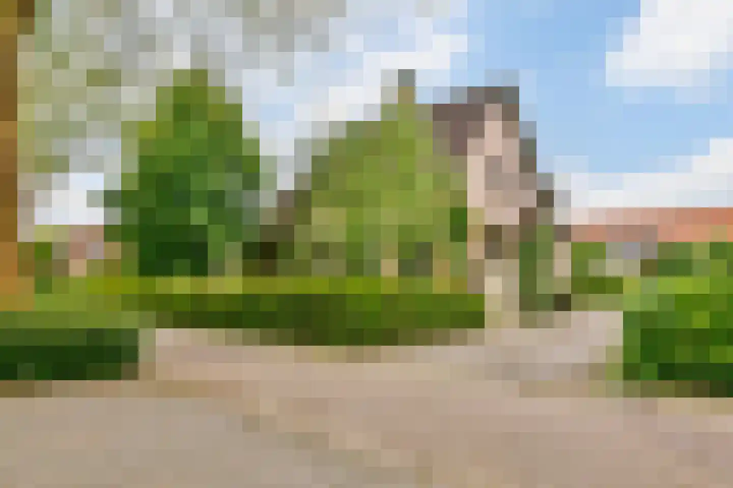 Hornweg 101 Aalsmeer thumbnail 44