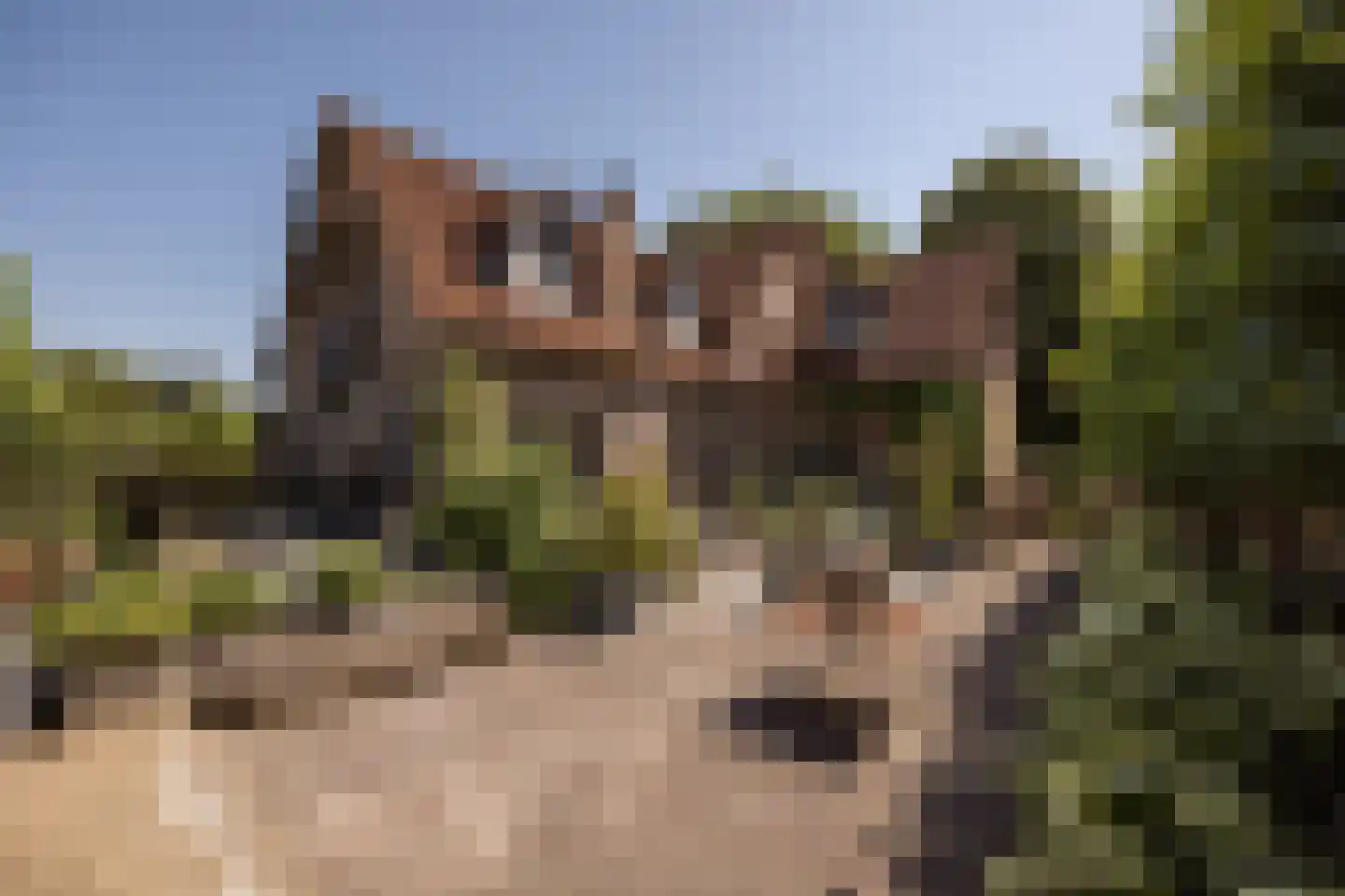 Hornweg 101 Aalsmeer thumbnail 5