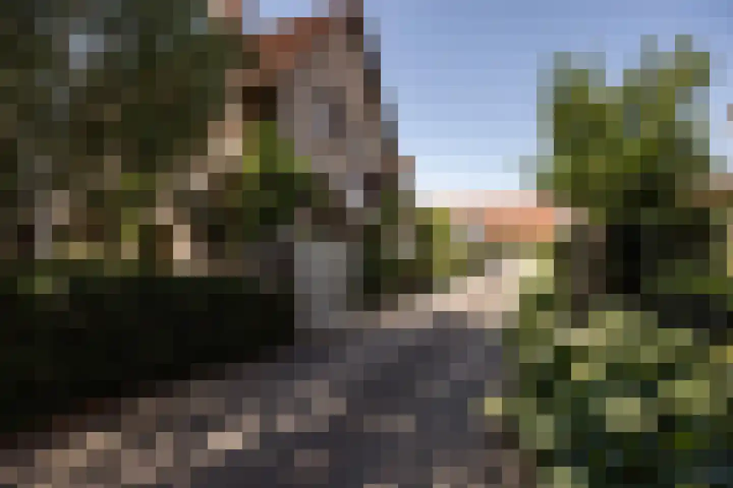 Hornweg 101 Aalsmeer thumbnail 6