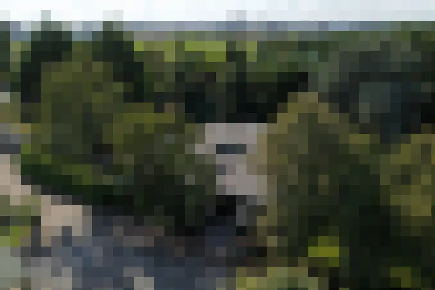Hornweg 126 Aalsmeer thumbnail 15