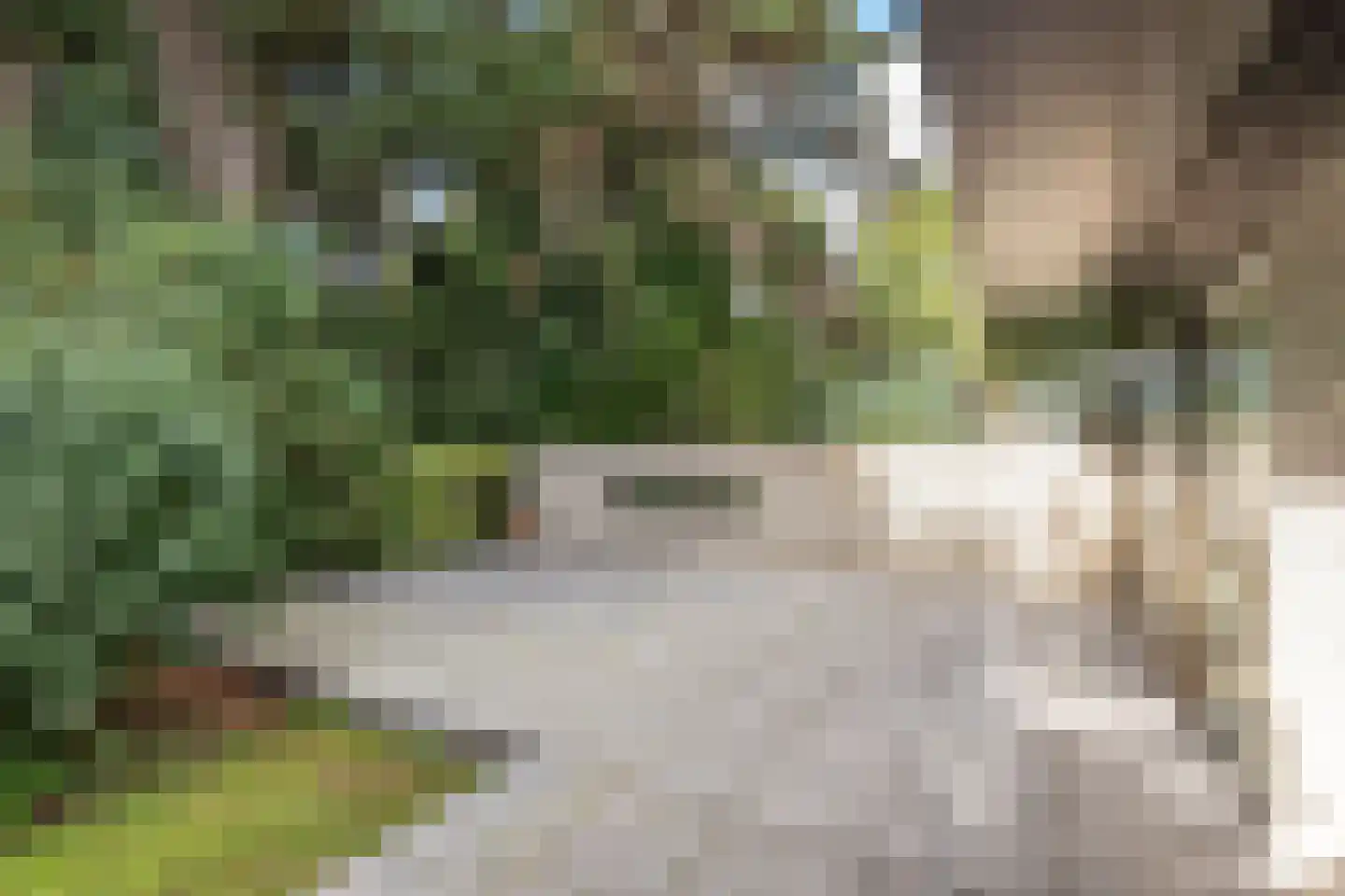 Hornweg 126 Aalsmeer thumbnail 22