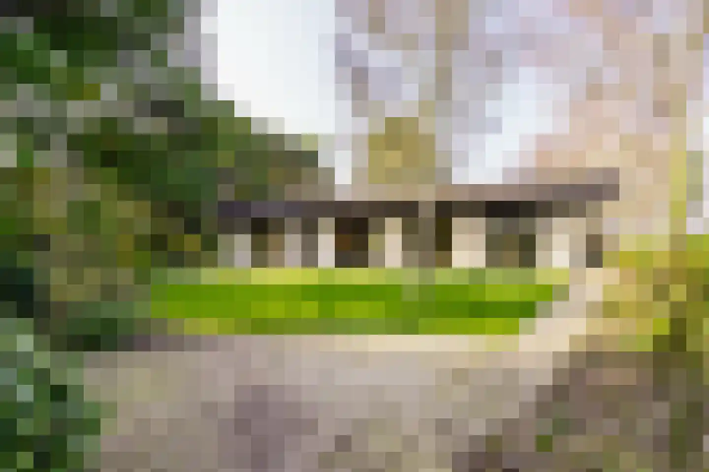 Hornweg 126 Aalsmeer thumbnail 34