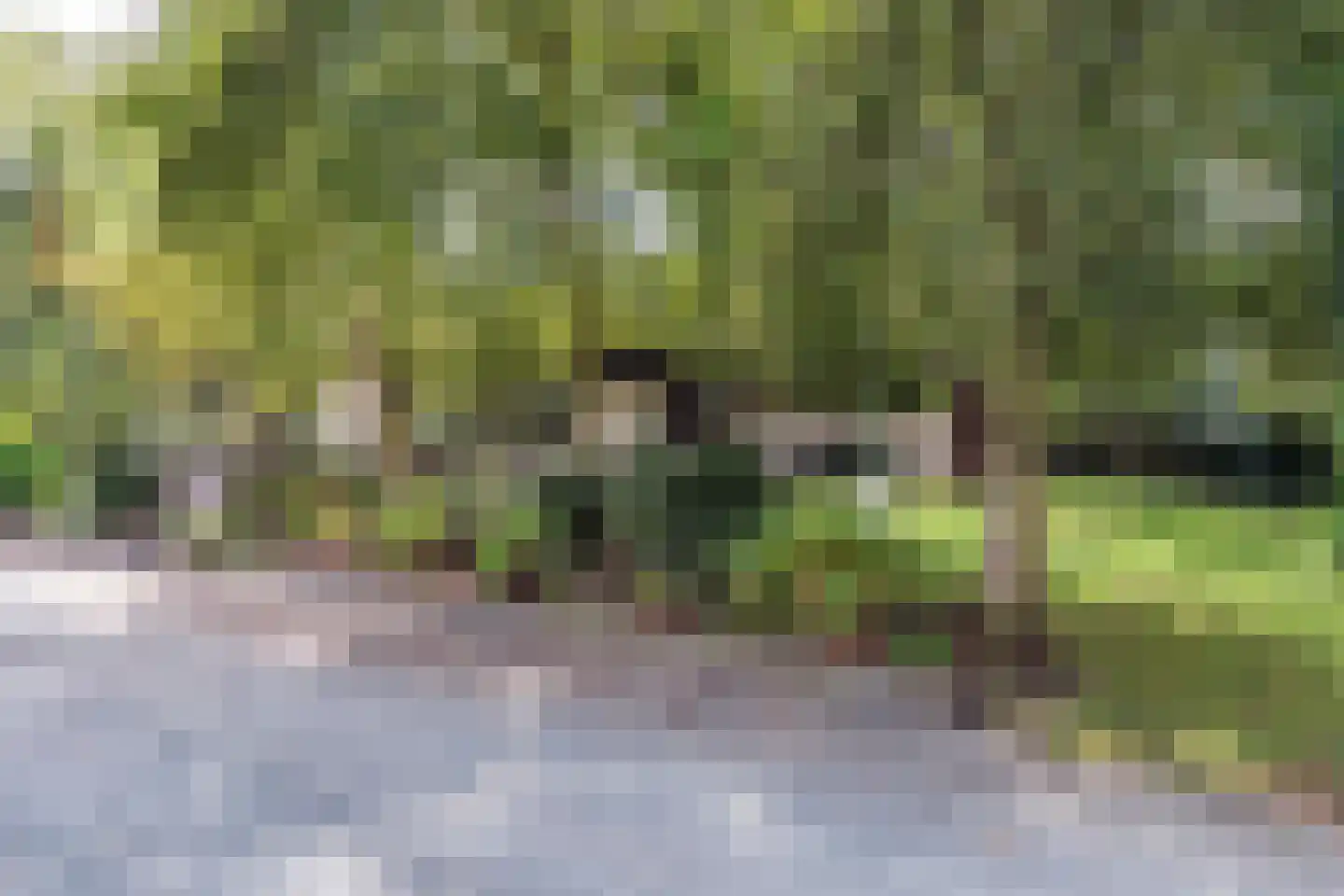 Hornweg 126 Aalsmeer thumbnail 4