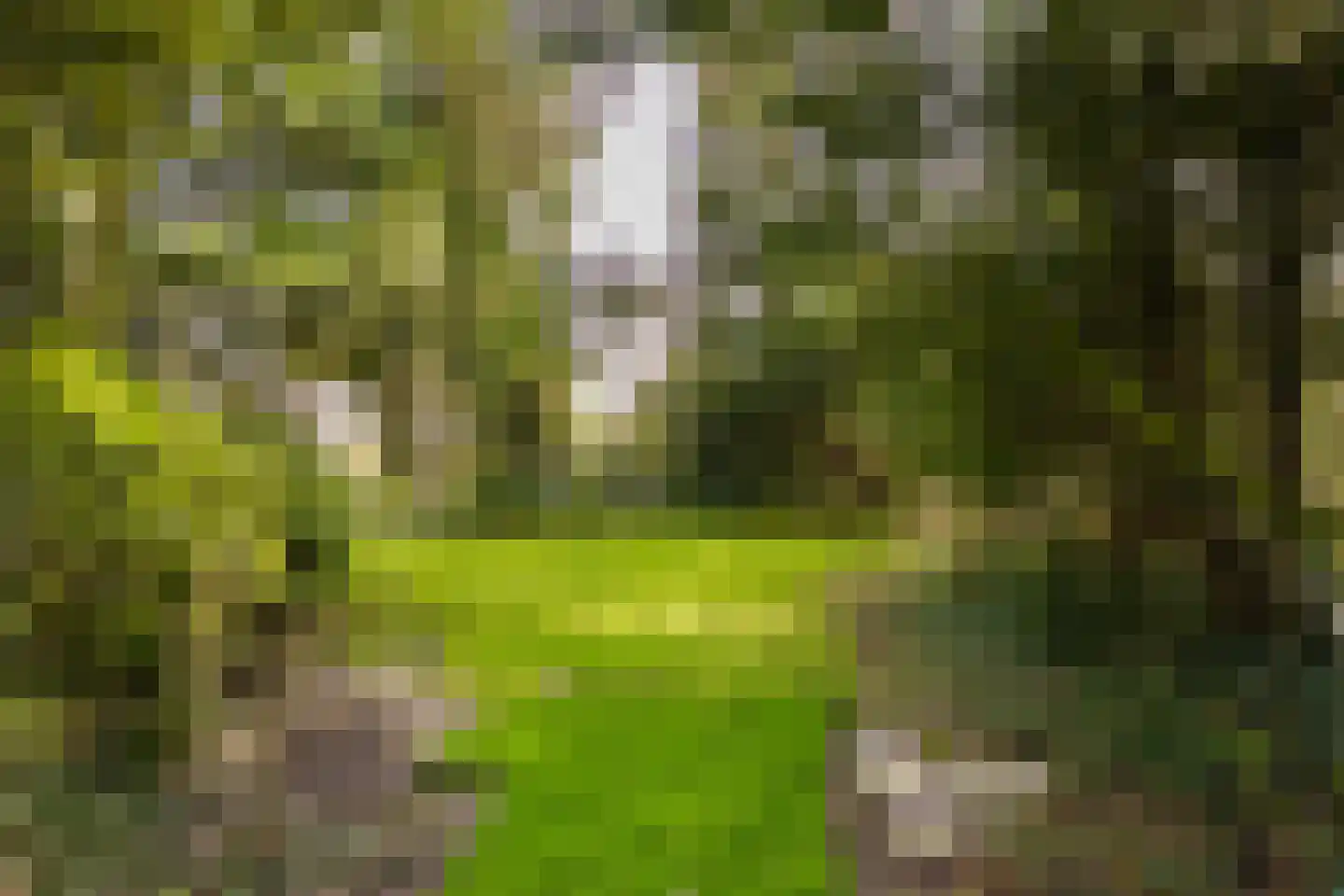 Hornweg 126 Aalsmeer thumbnail 40