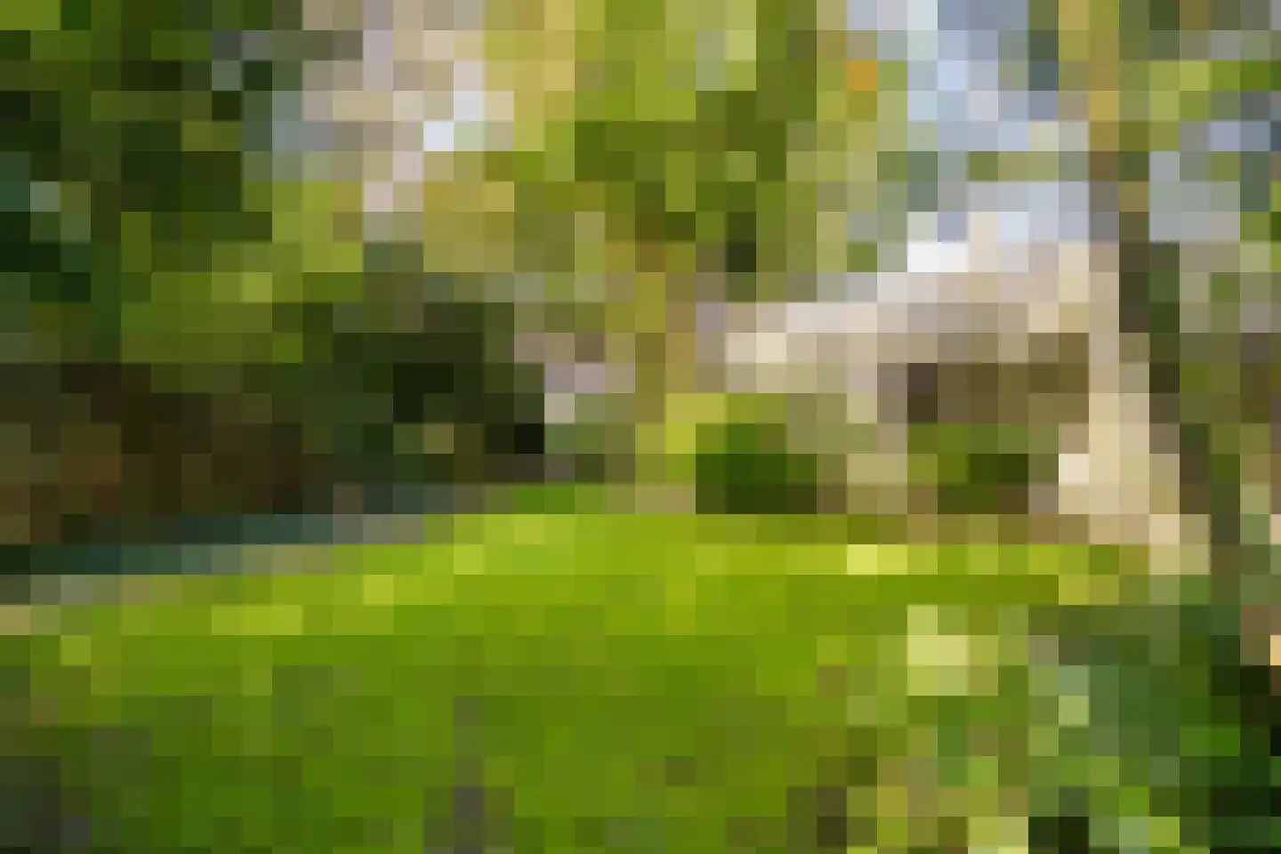 Hornweg 126 Aalsmeer thumbnail 41