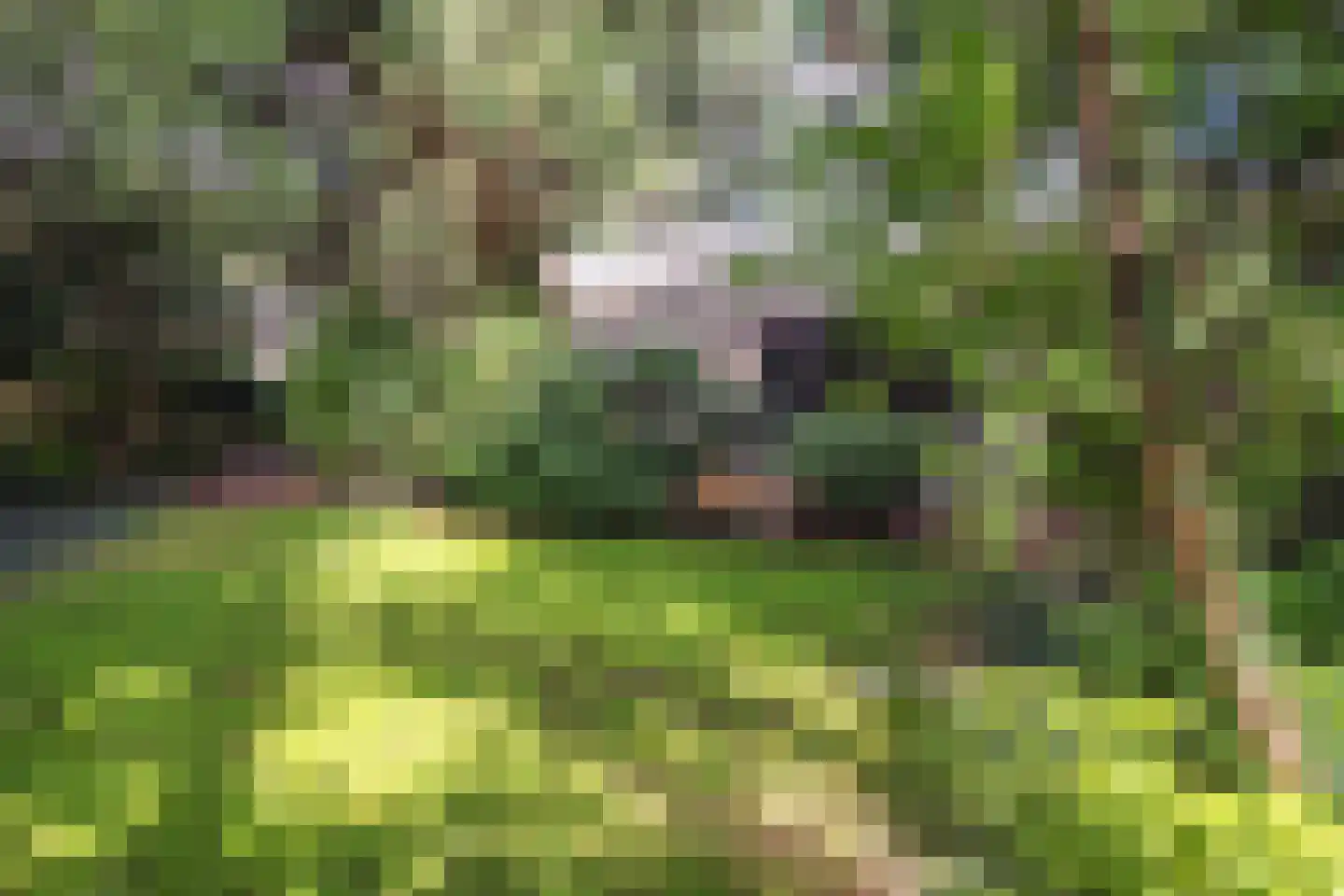 Hornweg 126 Aalsmeer thumbnail 47