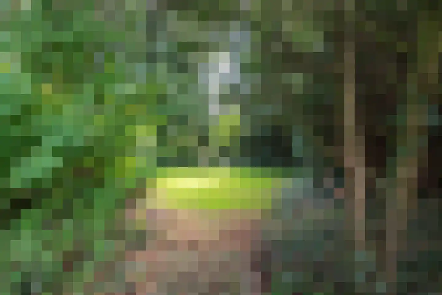 Hornweg 126 Aalsmeer thumbnail 48