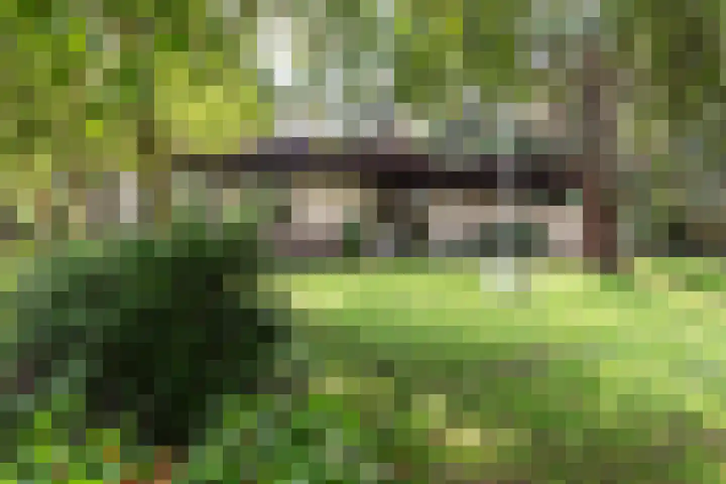 Hornweg 126 Aalsmeer thumbnail 5