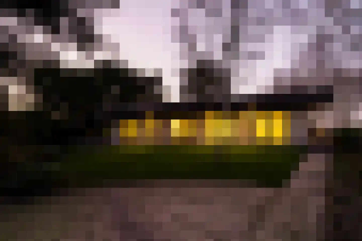 Hornweg 126 Aalsmeer thumbnail 52