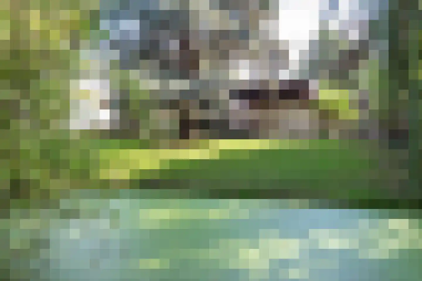 Hornweg 126 Aalsmeer thumbnail 6