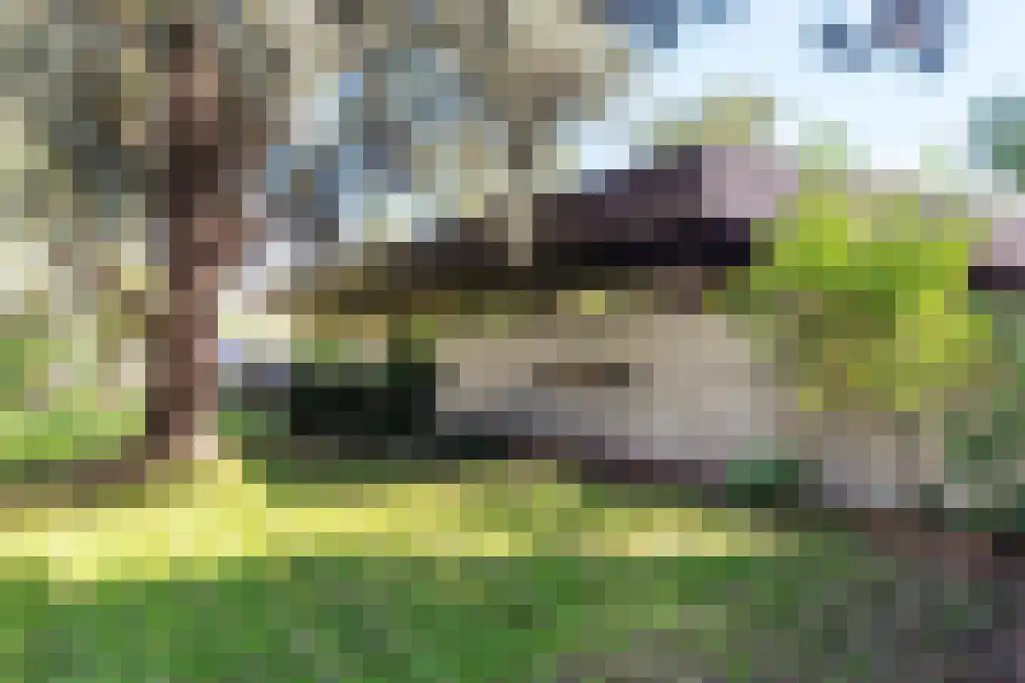 Hornweg 126 Aalsmeer thumbnail 7