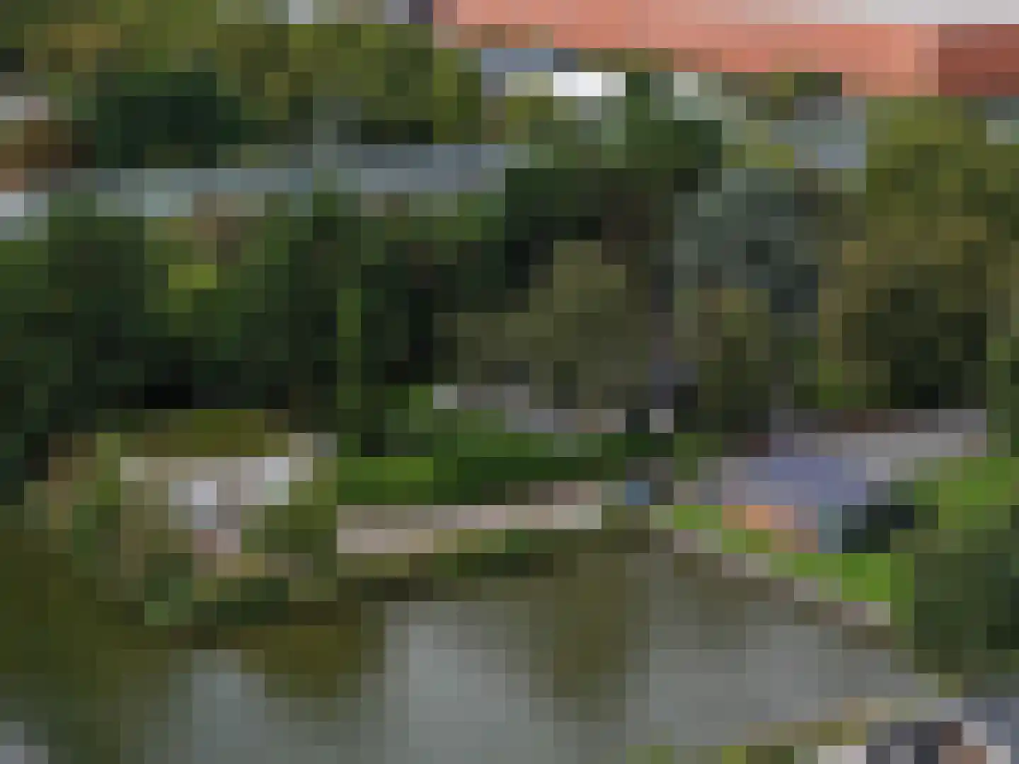 Hornweg 126 Aalsmeer thumbnail 8