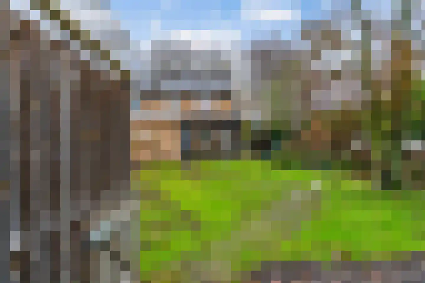 Hornweg 136 Aalsmeer thumbnail 26