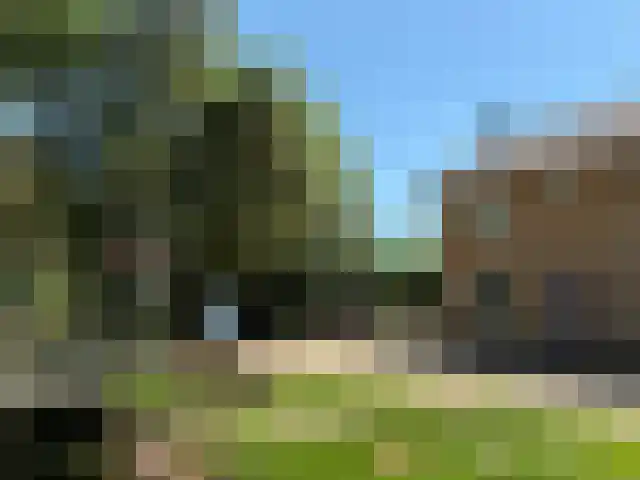 Hornweg 136 Aalsmeer thumbnail 29