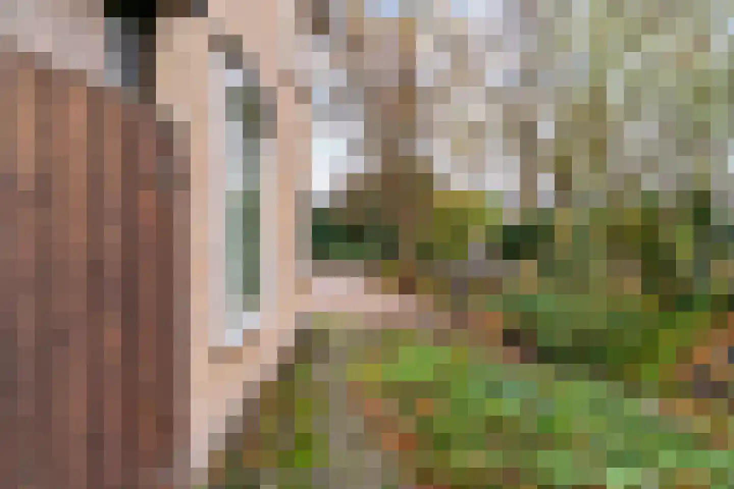 Hornweg 136 Aalsmeer thumbnail 29