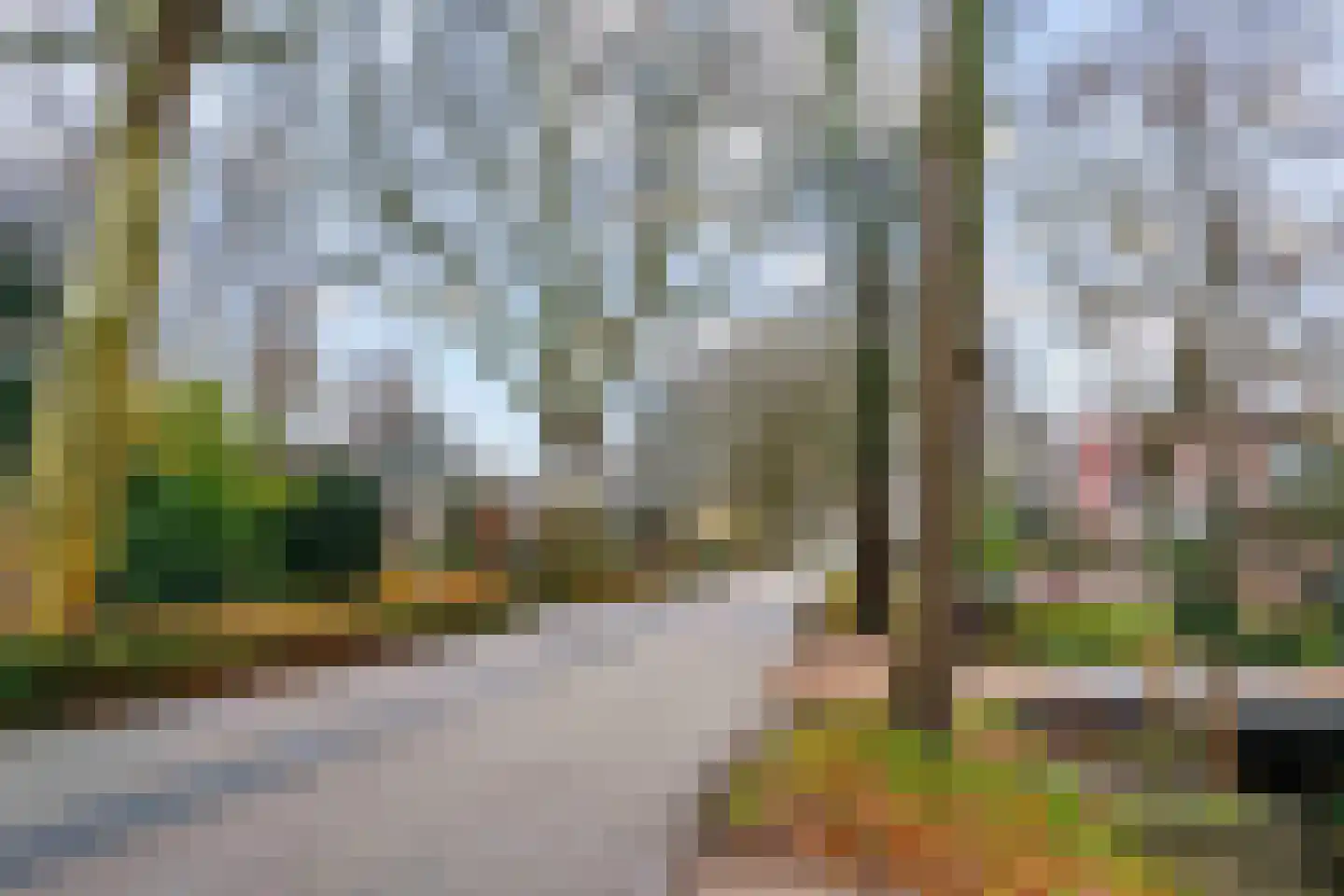 Hornweg 136 Aalsmeer thumbnail 31