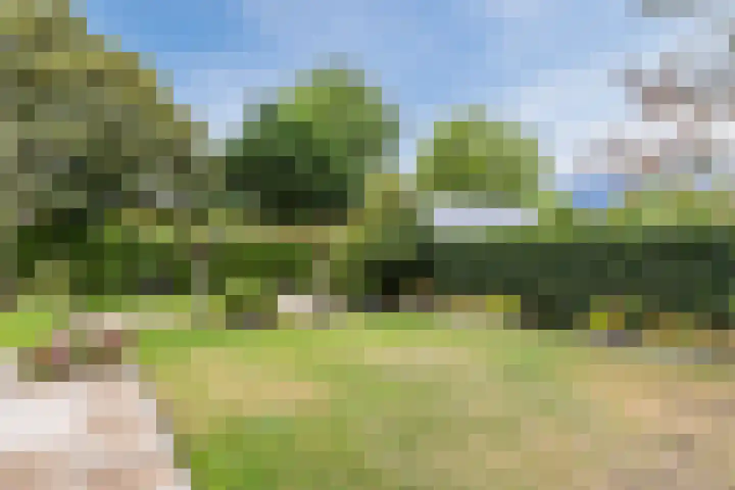 Hornweg 163 Aalsmeer thumbnail 32