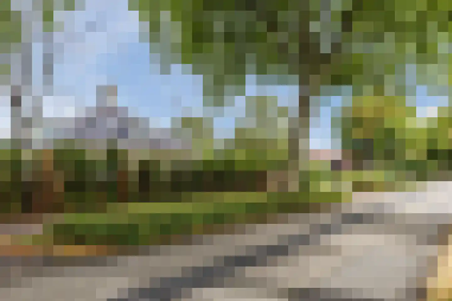 Hornweg 163 Aalsmeer thumbnail 57