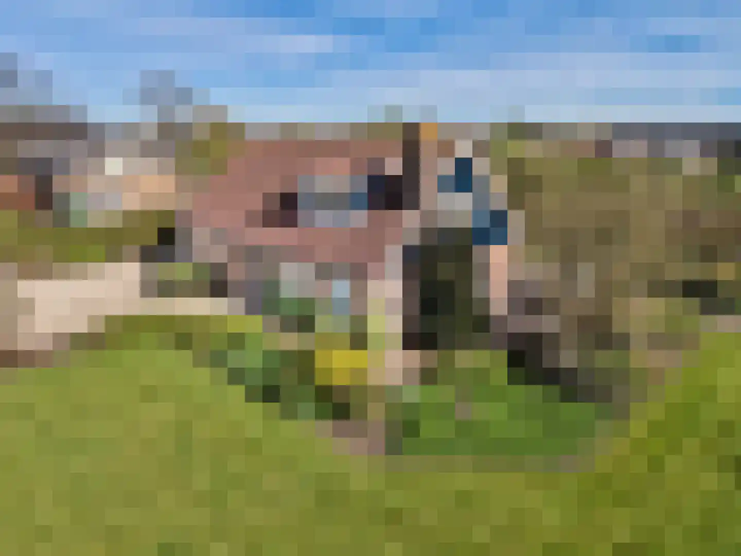 Hornweg 166 in Aalsmeer