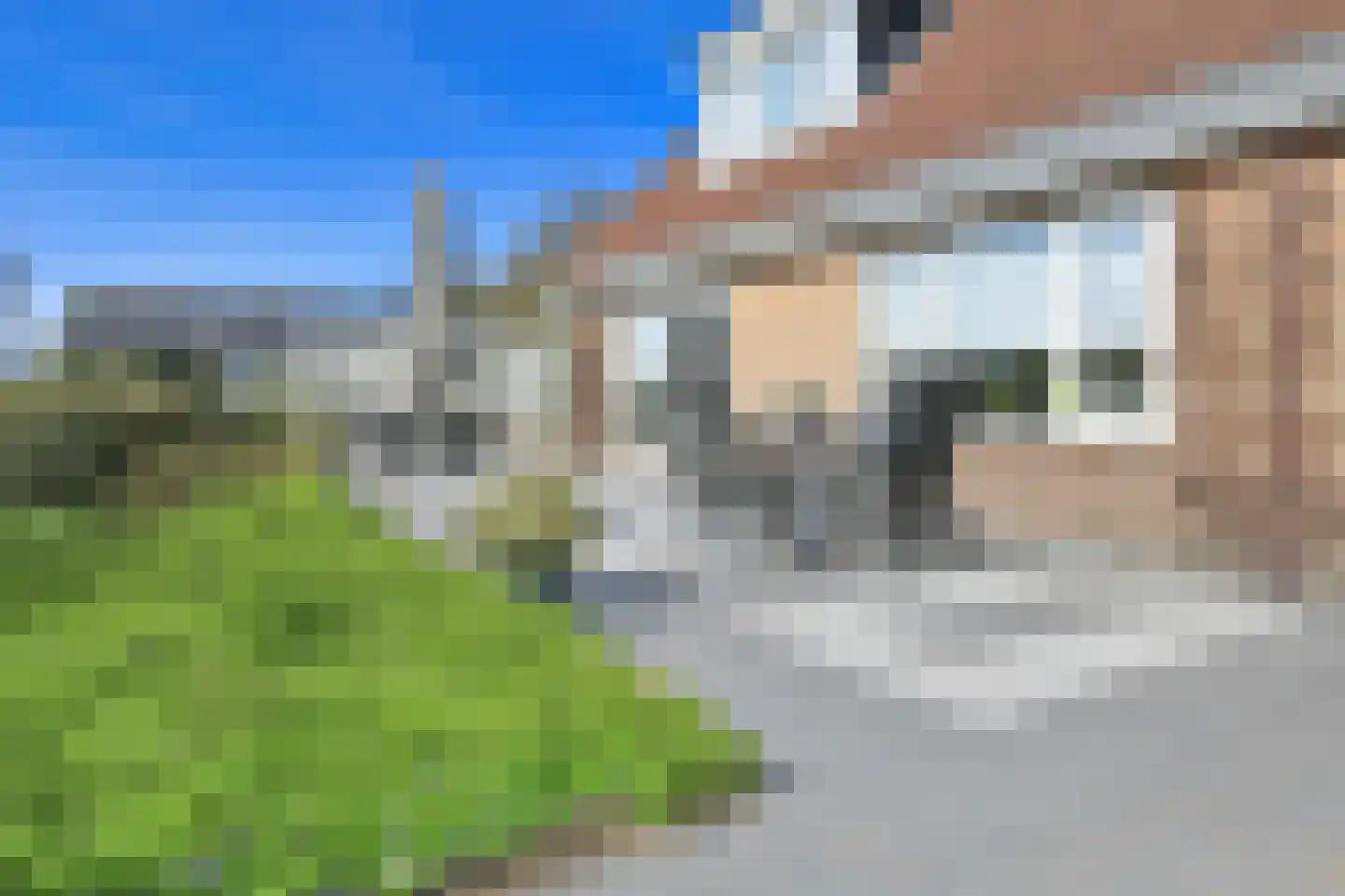 Hornweg 166 Aalsmeer thumbnail 36