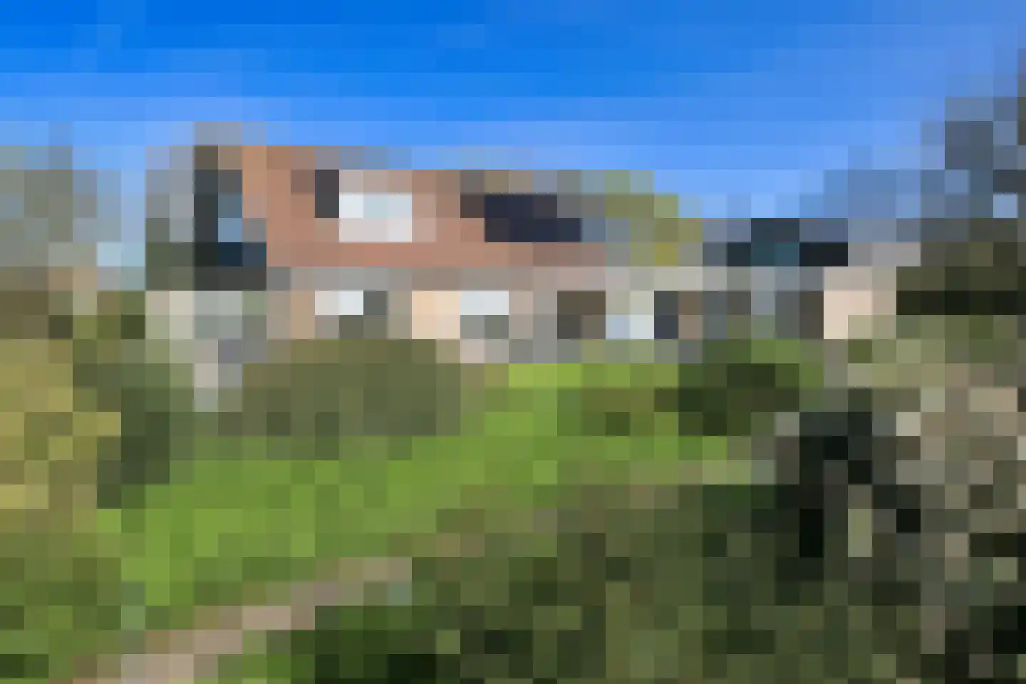 Hornweg 166 Aalsmeer thumbnail 42