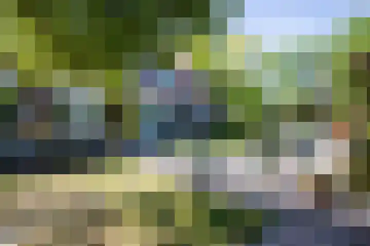 Hornweg 193 Aalsmeer thumbnail 32