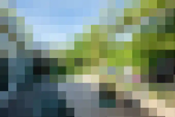 Hornweg 193 Aalsmeer thumbnail 35