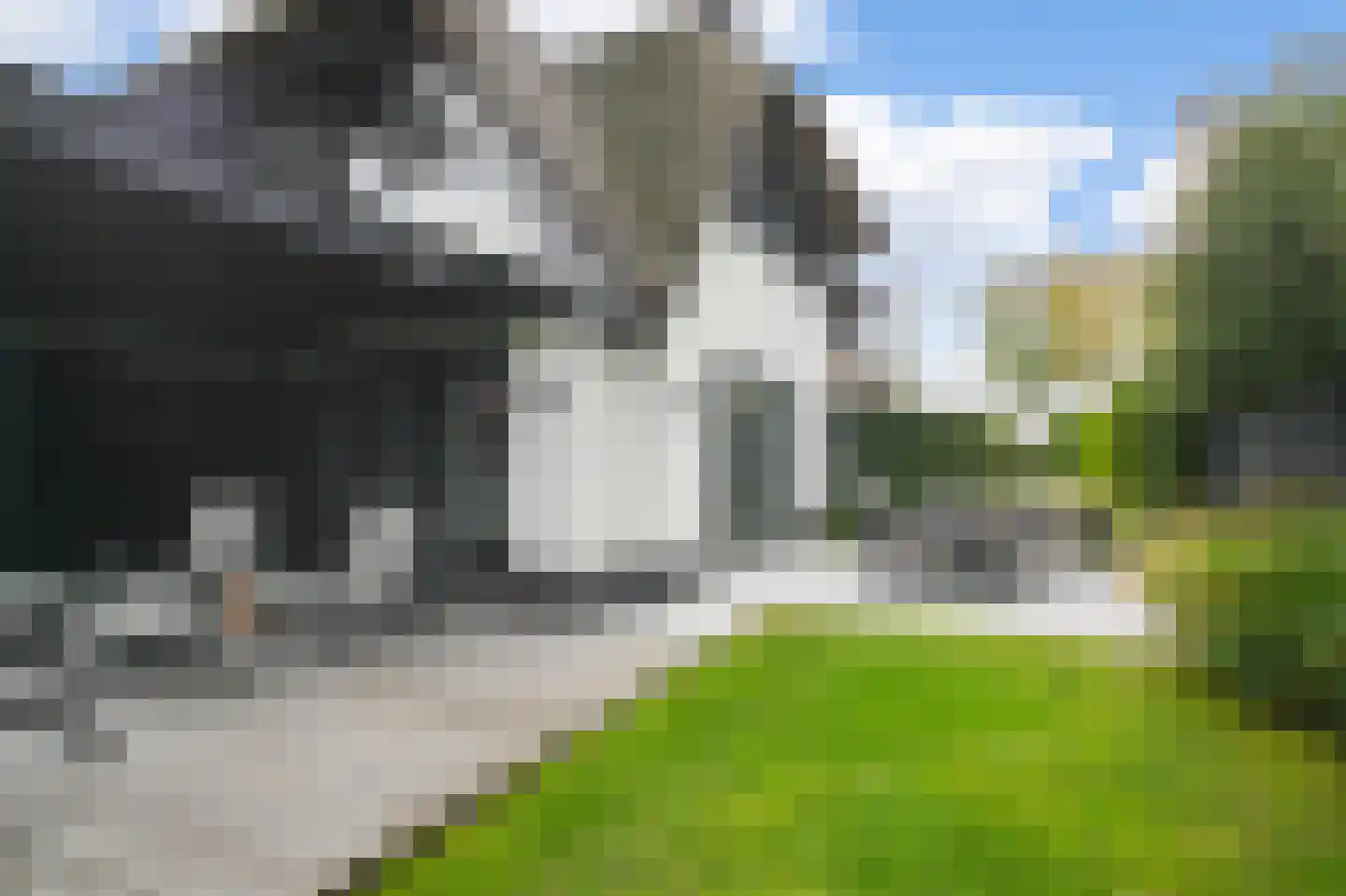 Hornweg 317 Aalsmeer thumbnail 36
