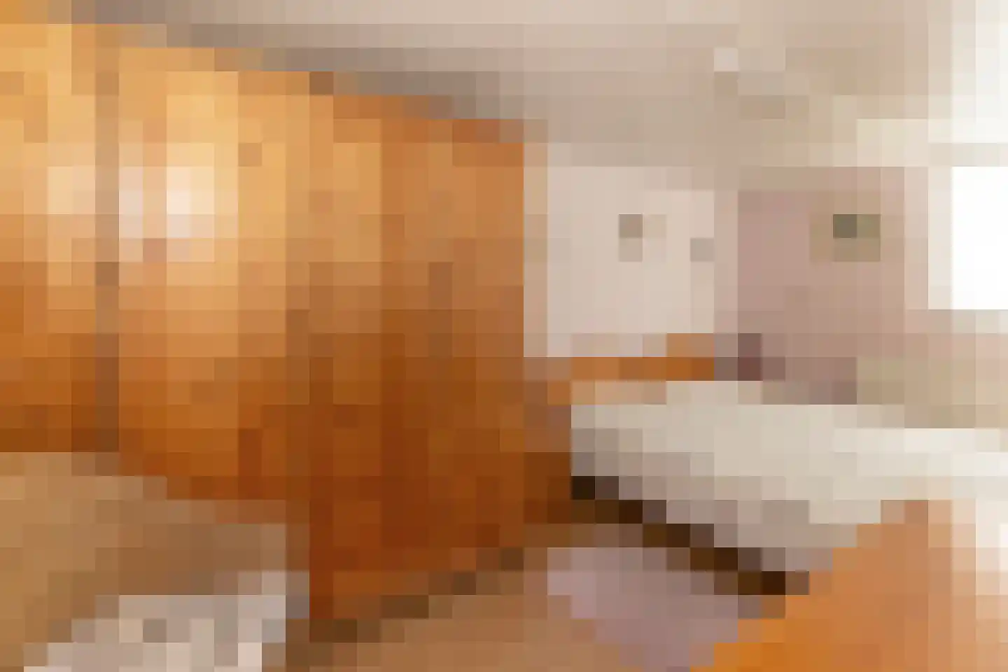 Horrelshoogte 10 Ouddorp thumbnail 16