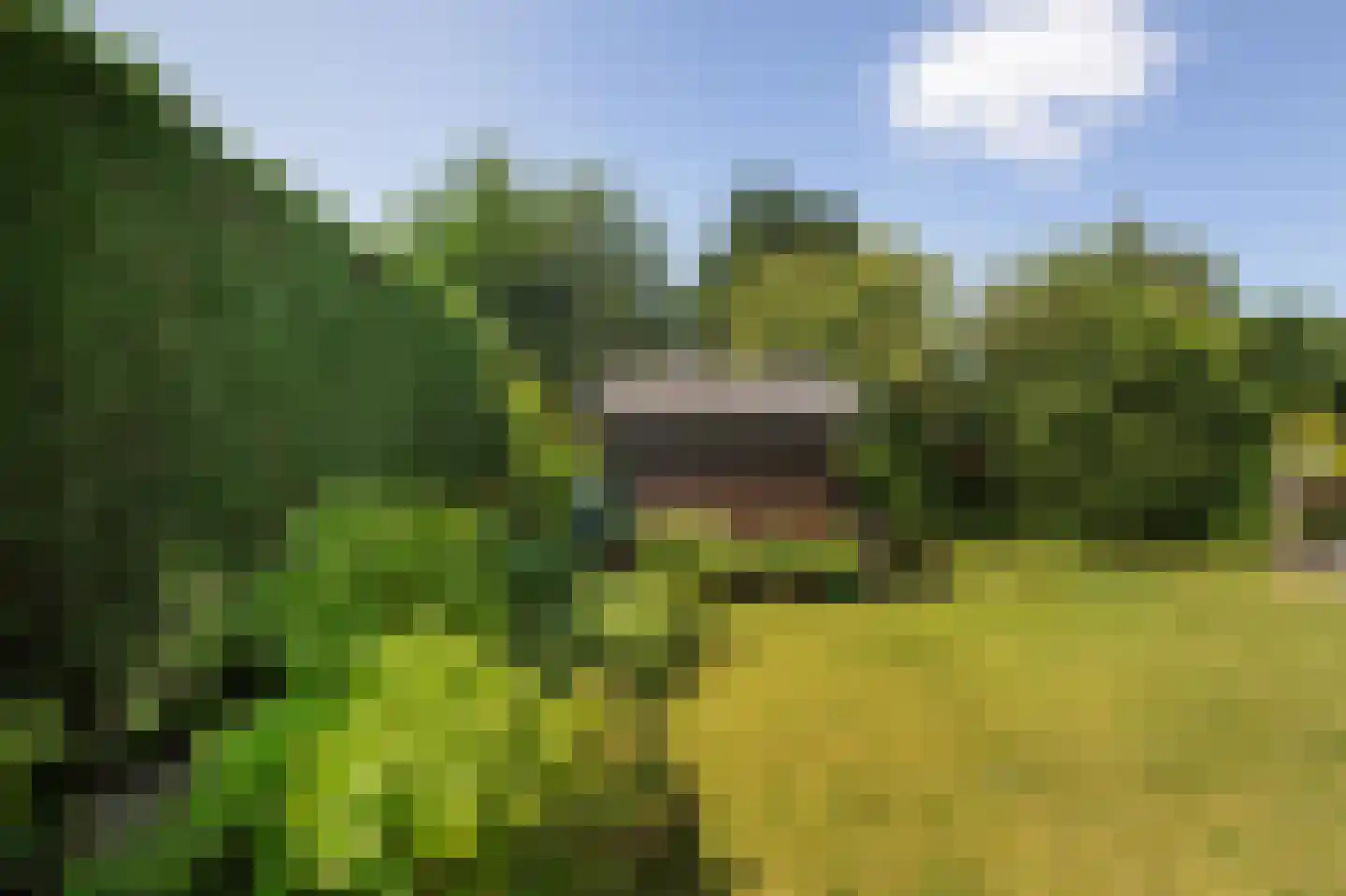 Horrelshoogte 10 Ouddorp thumbnail 29