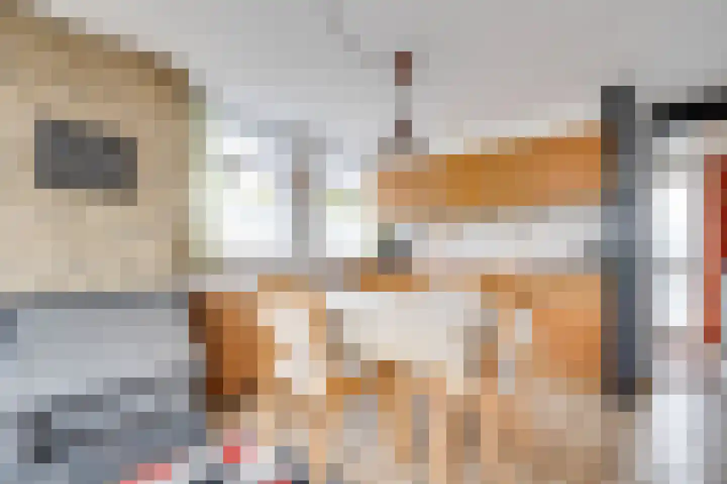 Horrelshoogte 43 Ouddorp thumbnail 4