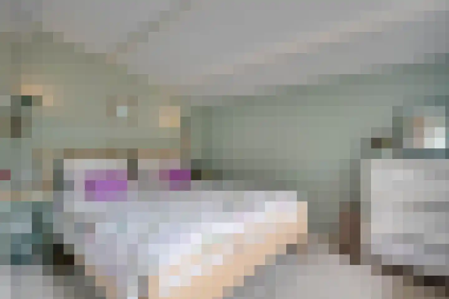Horrelshoogte 55 Ouddorp thumbnail 11