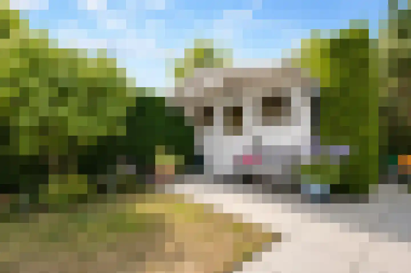 Horrelshoogte 55 Ouddorp thumbnail 20