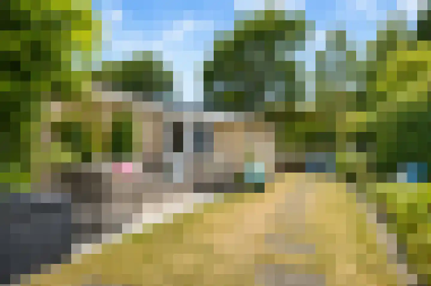 Horrelshoogte 55 Ouddorp thumbnail 22