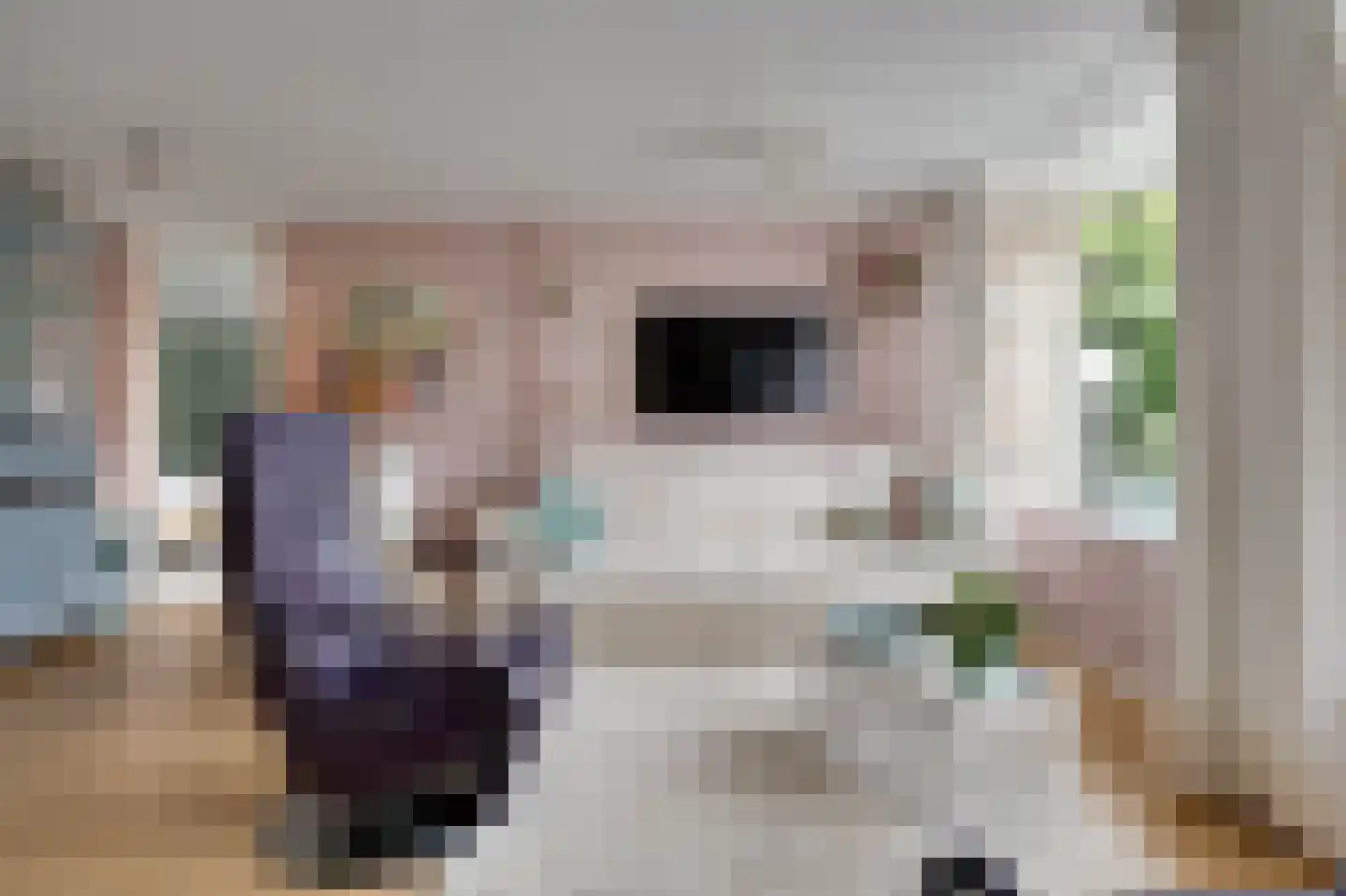 Horrelshoogte 55 Ouddorp thumbnail 5