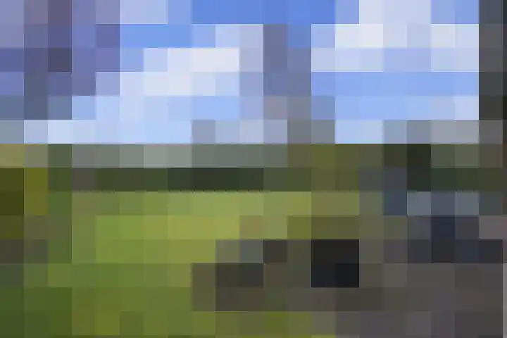 Horrelshoogte 59 Ouddorp thumbnail 12