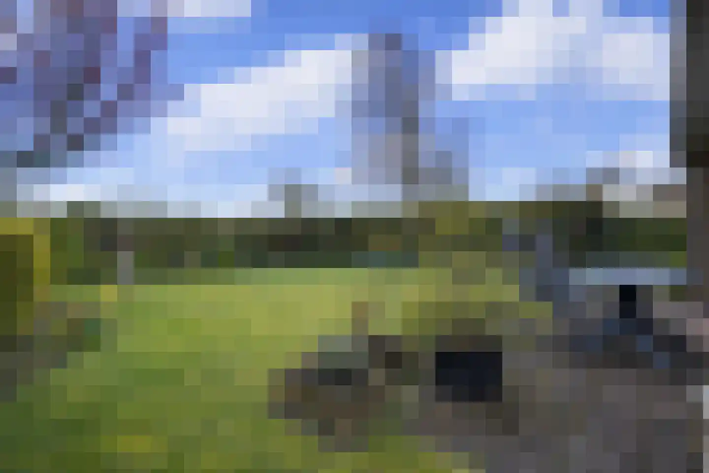 Horrelshoogte 59 Ouddorp thumbnail 12
