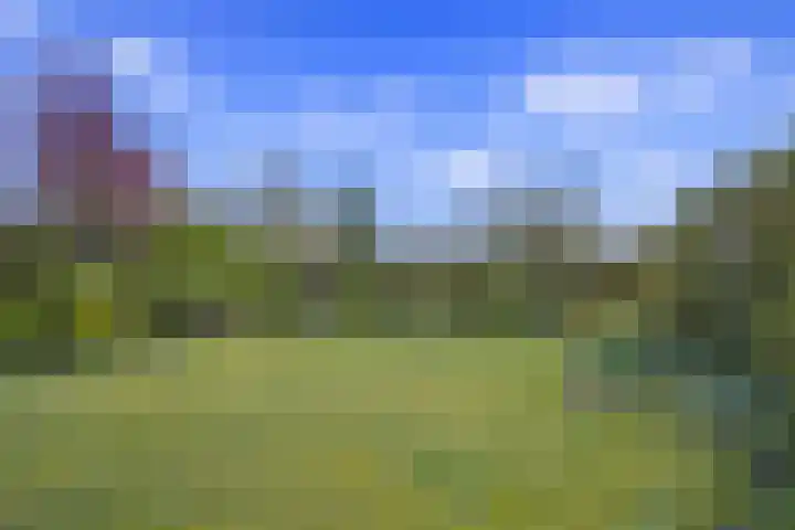 Horrelshoogte 59 Ouddorp thumbnail 13
