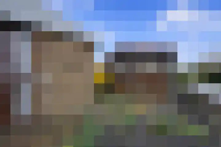 Horrelshoogte 59 Ouddorp thumbnail 14