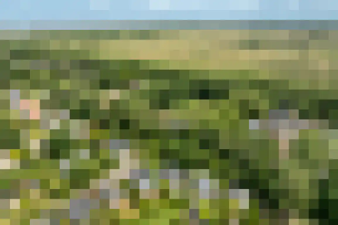 Horrelshoogte 60 Ouddorp thumbnail 23