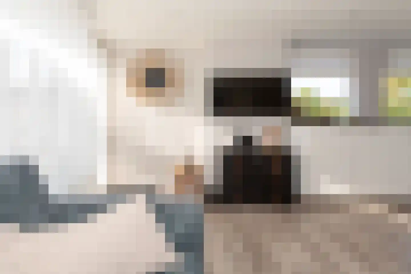 Horrelshoogte 9 Ouddorp thumbnail 10