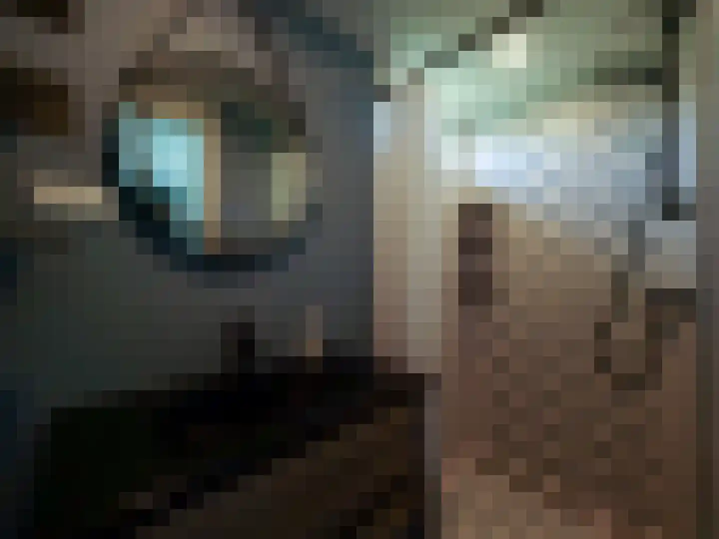 Horrelshoogte 9 Ouddorp thumbnail 11