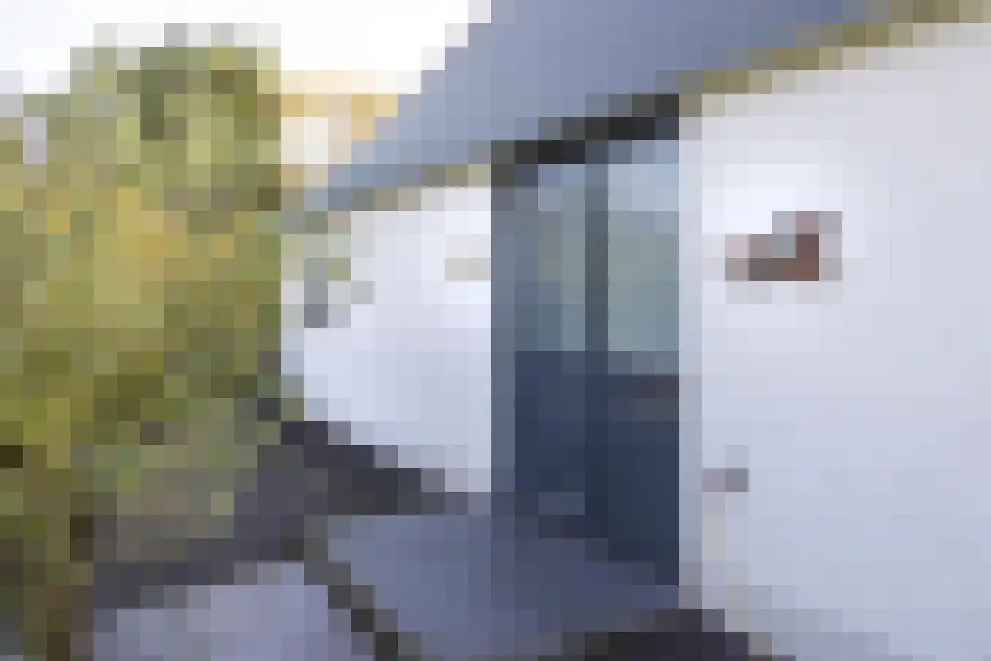 Horrelshoogte 9 Ouddorp thumbnail 24