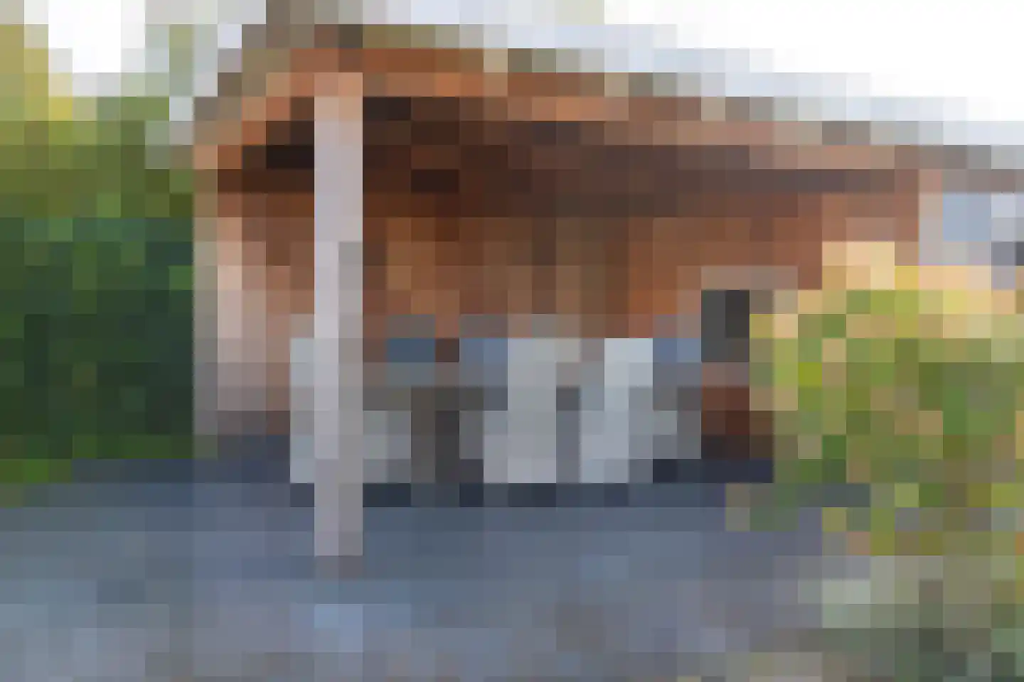 Horrelshoogte 9 Ouddorp thumbnail 32