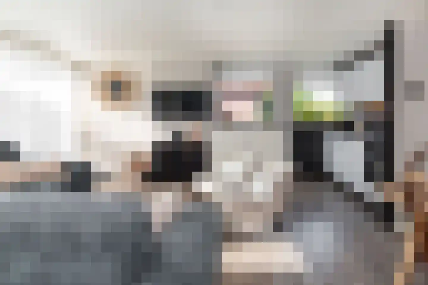 Horrelshoogte 9 Ouddorp thumbnail 7