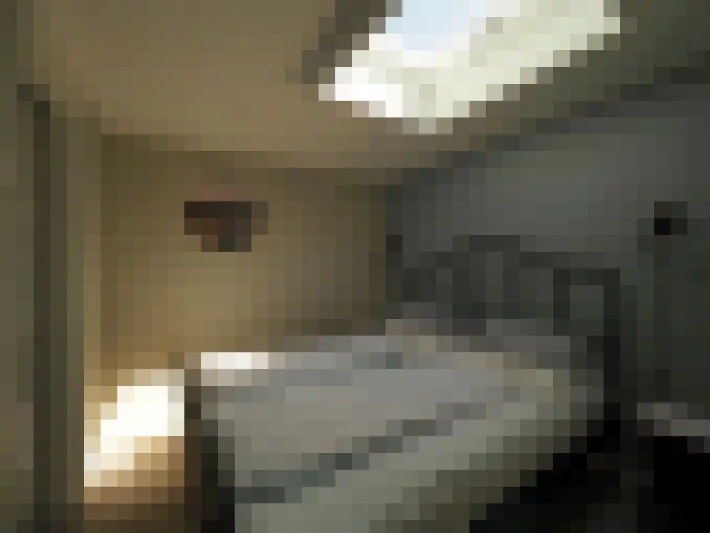 Horrelshoogte 9 Ouddorp thumbnail 9