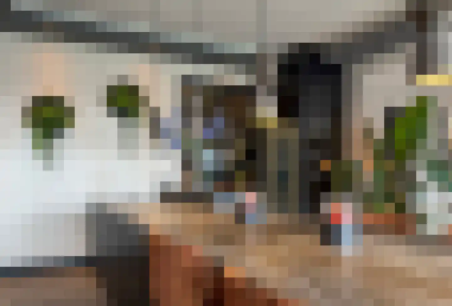 Horreum 10 Cuijk thumbnail 16