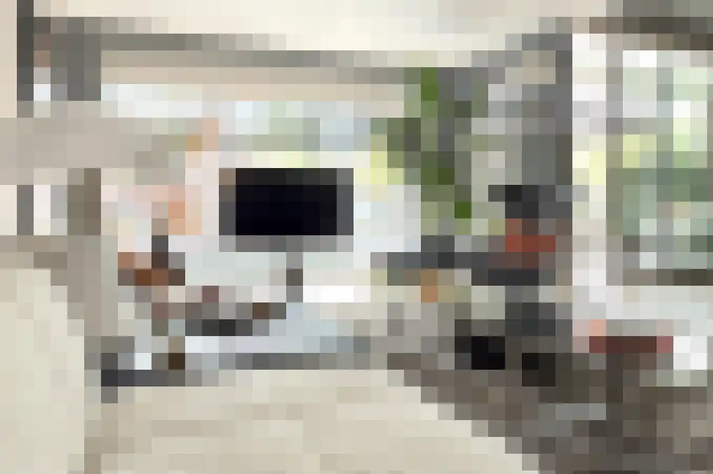 Horreum 10 Cuijk thumbnail 18
