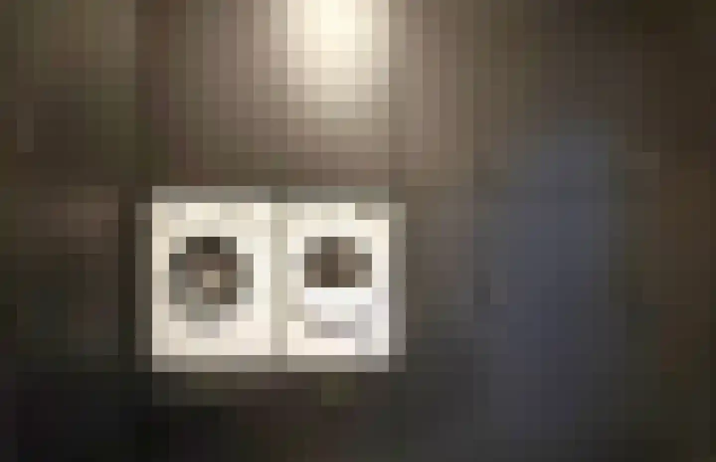 Horreum 10 Cuijk thumbnail 25